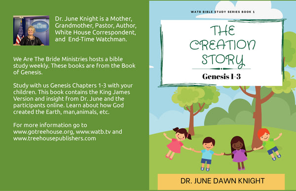 The Creation Story - Genesis 1-3 Children's Book